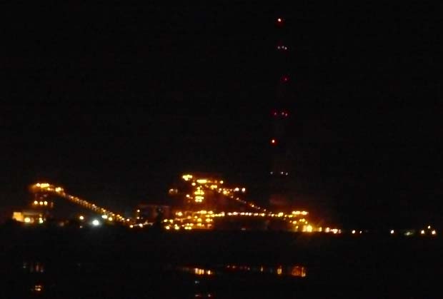 Plant at Night